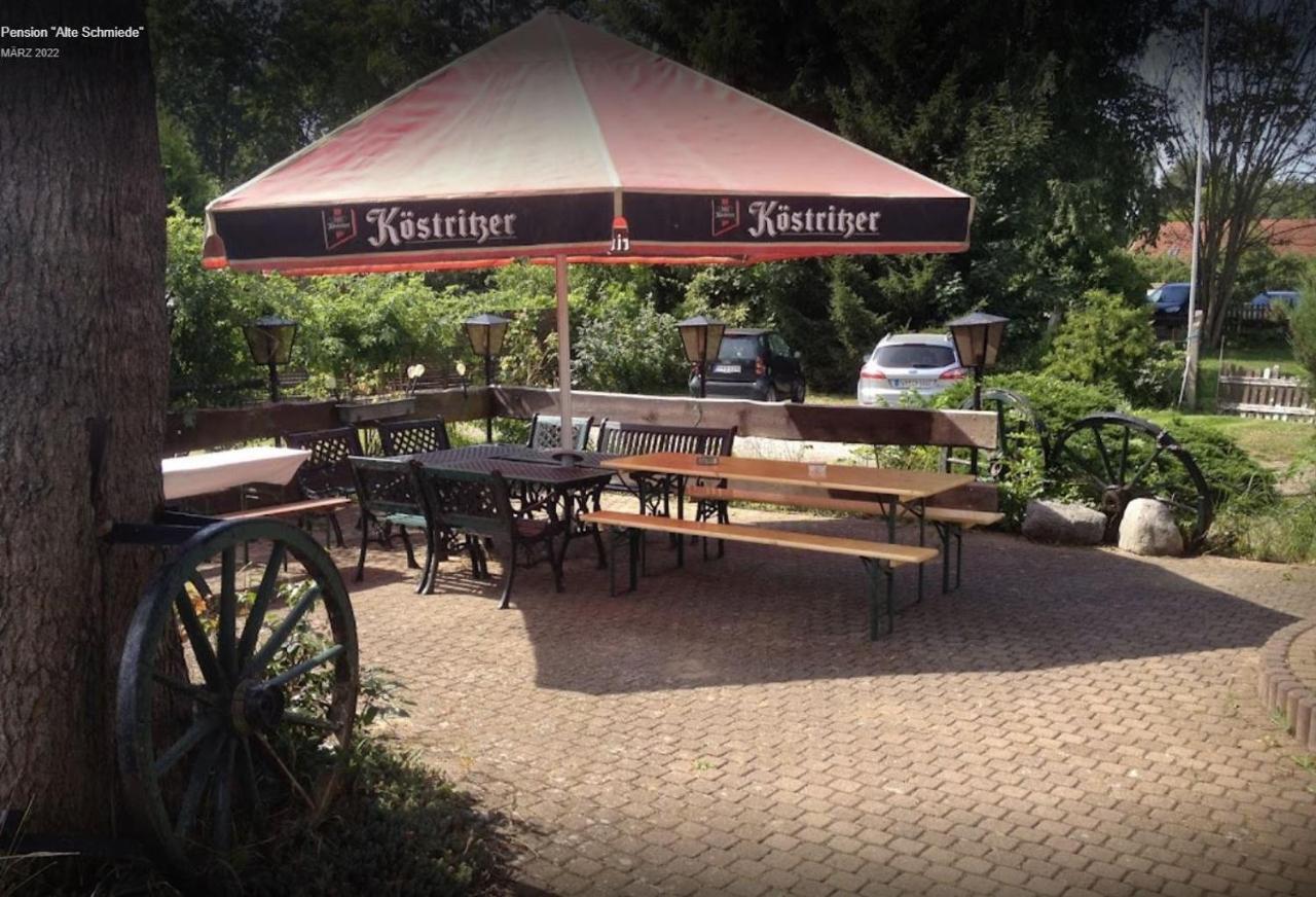 Pension Alte Schmiede Greifswald Ngoại thất bức ảnh
